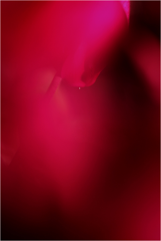 e0031502_23534716.jpg