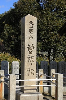 a0123003_21354644.jpg