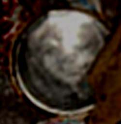 e0103408_12311587.jpg