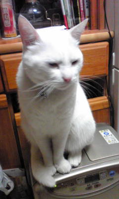 c0180209_22444325.jpg