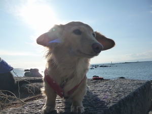 d0150013_1752514.jpg