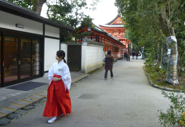 下鴨神社 けまり始め_e0048413_20262833.jpg