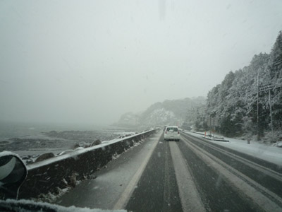 c0227720_2203486.jpg