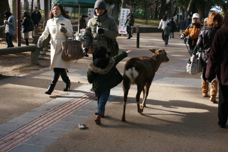 f0097620_1744396.jpg