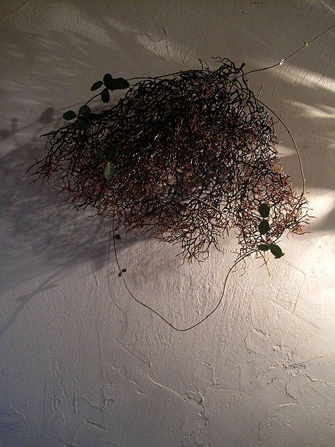 また・・_c0102228_23421064.jpg