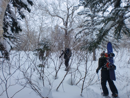 f0128733_0402022.jpg