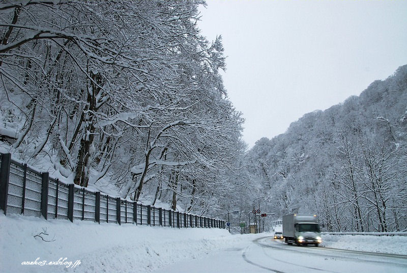 今年も雪景色から_d0067934_18532663.jpg