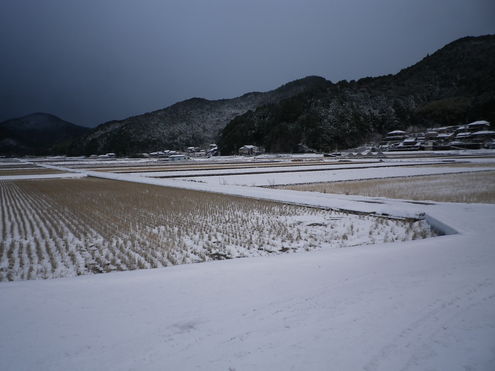 b0207536_234614.jpg