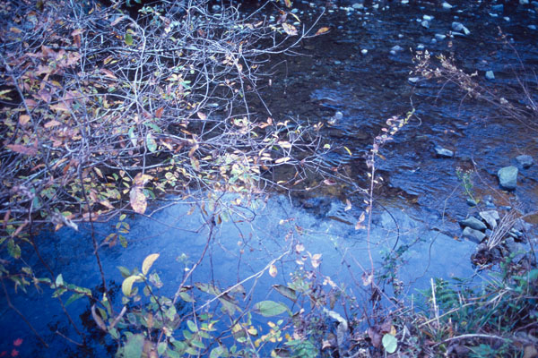 f0114339_17165755.jpg