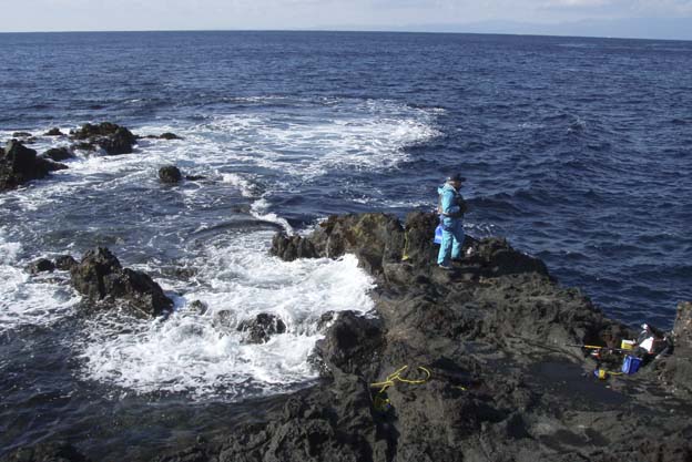 伊豆大島の磯釣りは・・・　(No.939　11/01/04)_d0151247_22234311.jpg