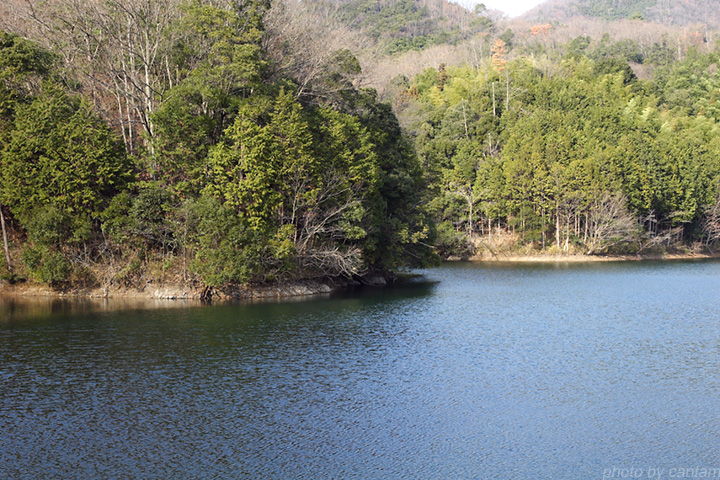 岡山県津山市 樋の内池_f0091955_344952.jpg