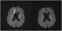 a0119856_19454544.gif