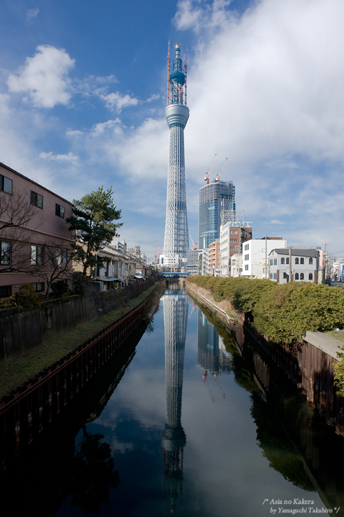 Photo Stream　～ 東京スカイツリー#4　539m×2 ～_d0080957_2228046.jpg