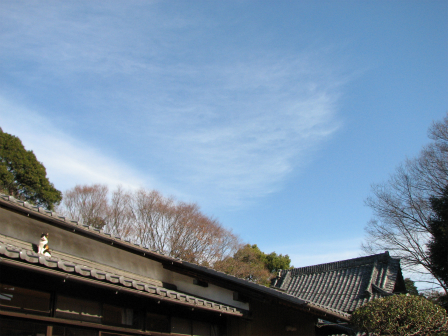 b0059860_1312493.jpg