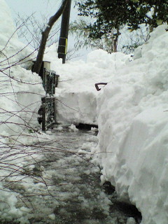 b0175760_22431755.jpg