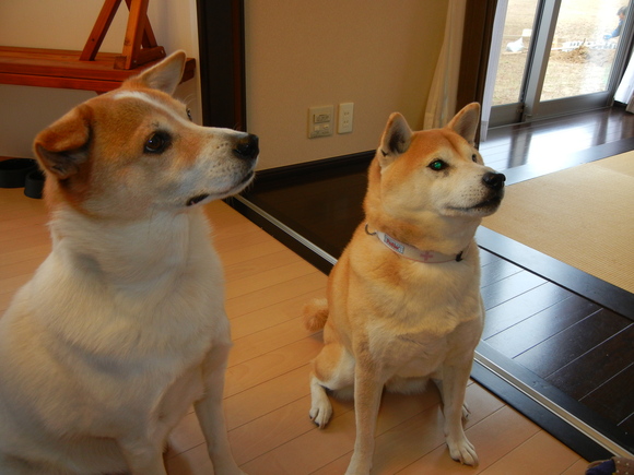 2011年1月4日(火)ルアー君は天才!?_f0060461_18541555.jpg