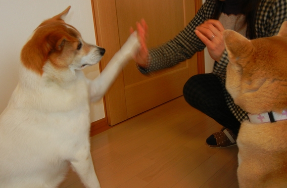 2011年1月4日(火)ルアー君は天才!?_f0060461_19432165.jpg