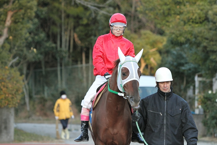 2010年12月31日（金） 高知競馬 6R 22番藤川球児協賛 頑張れ高知競馬特別 C1-2 選抜馬_a0077663_17481168.jpg