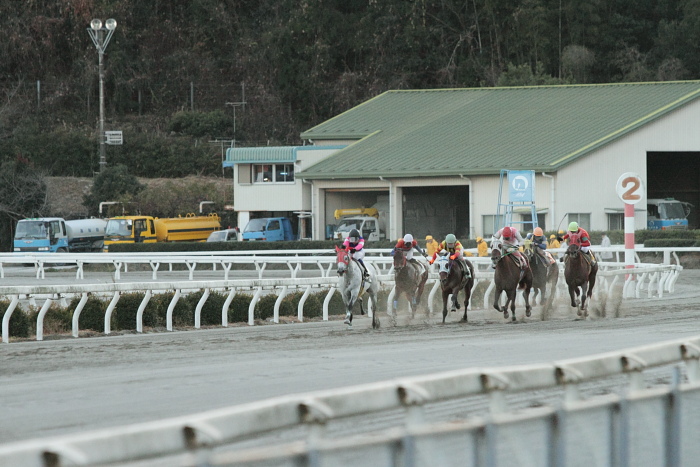 2010年12月31日（金） 高知競馬 6R 22番藤川球児協賛 頑張れ高知競馬特別 C1-2 選抜馬_a0077663_17483135.jpg