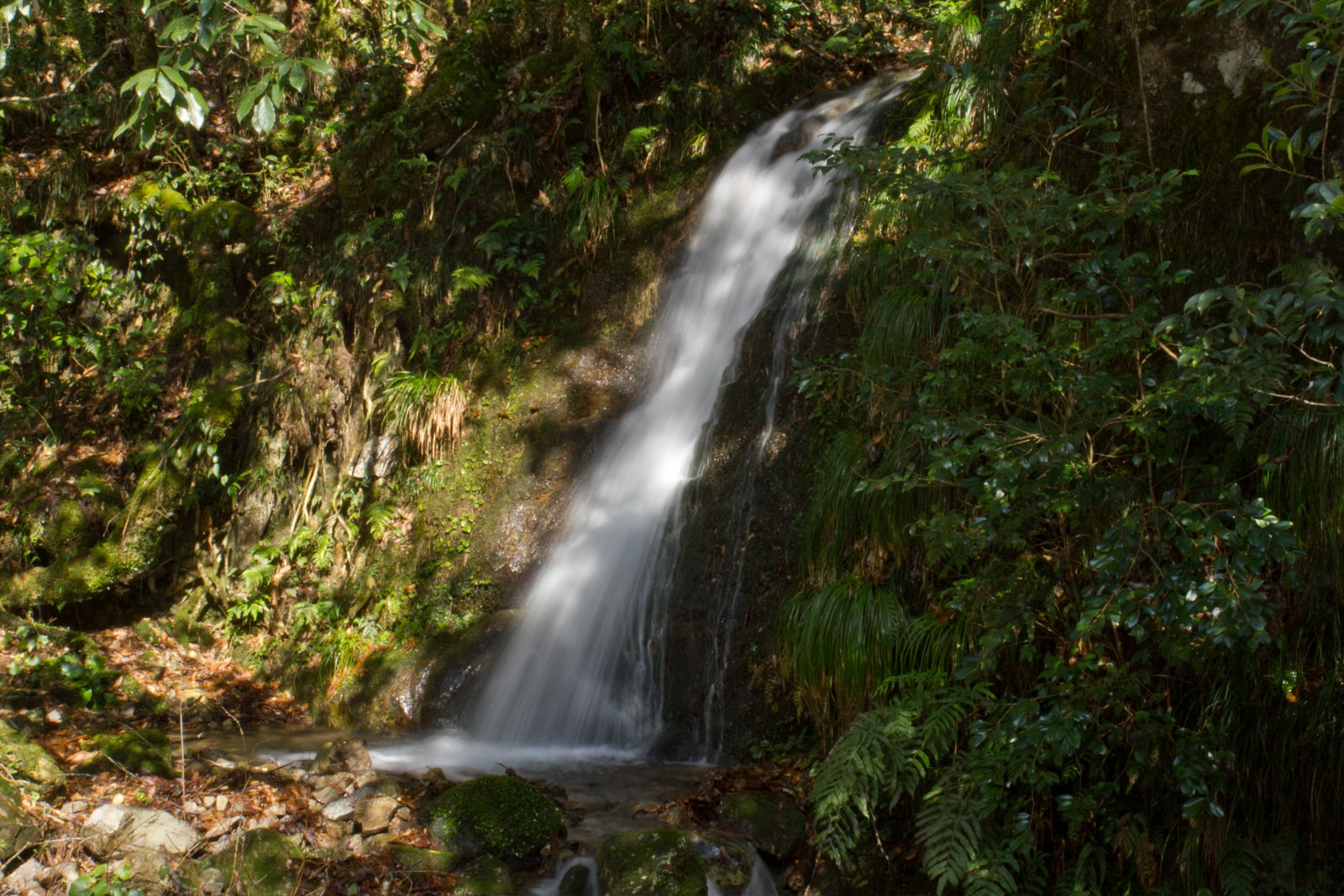 e0015567_1742355.jpg