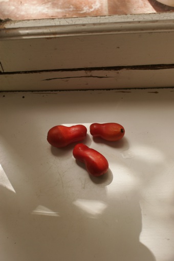 f0120569_93651.jpg