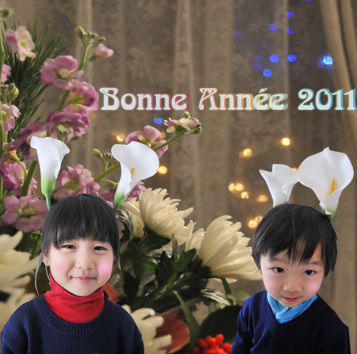 BONNE ANNEE 20！！_d0085274_23534952.jpg