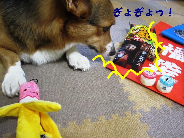 c0160878_2245679.jpg