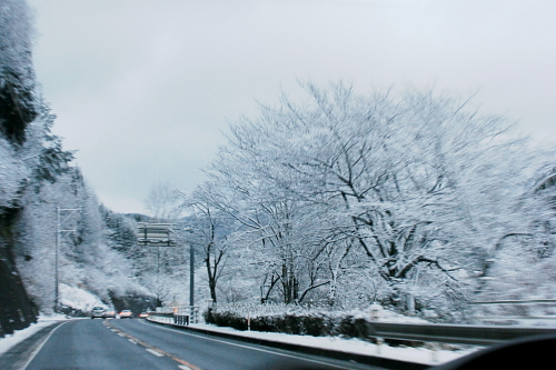 c0129498_2155323.jpg