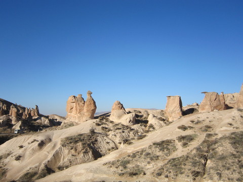 c0125702_22265170.jpg