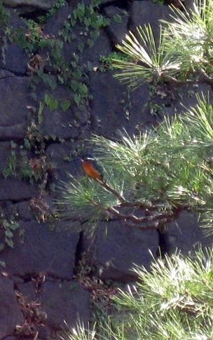 a0187805_0432522.jpg