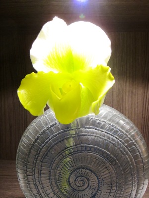2011年新年明けましておめでとうございます_b0122805_16392534.jpg