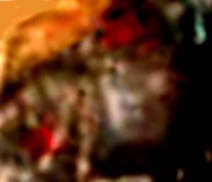 e0103408_17283682.jpg