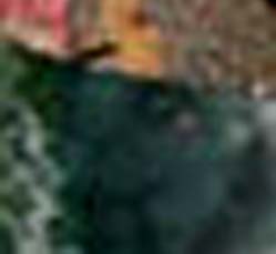 e0103408_17442332.jpg