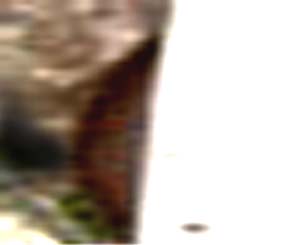 e0103408_1745051.jpg