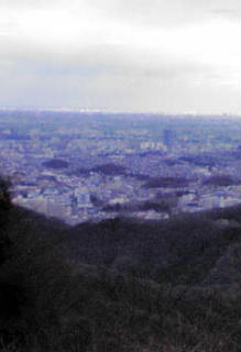 a0116409_0252645.jpg