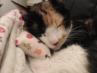 c0201113_1975933.jpg
