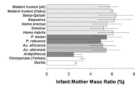 現生人類が進化する前に起こっていた新生児の巨大化_c0025115_19383115.jpg