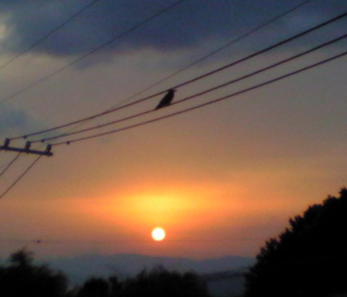 c0097620_23293020.jpg