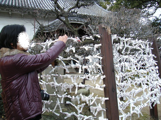 道明寺天満宮　初詣_e0071524_15315296.jpg