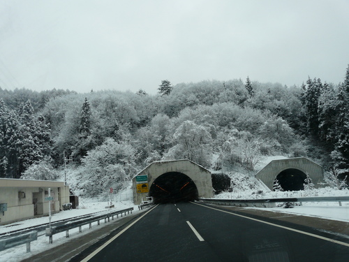 e0147226_18325.jpg