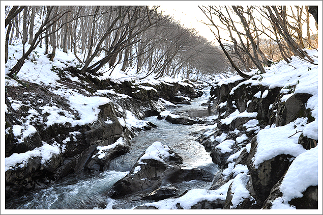 薬來　荒沢の大滝　－冬景ー_f0235326_23125889.jpg