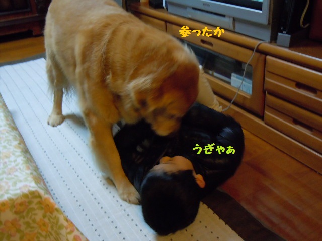 f0114128_1415172.jpg