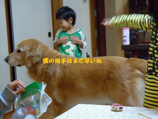 f0114128_14173292.jpg