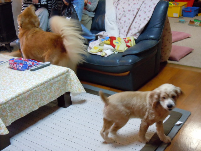 f0114128_1432736.jpg