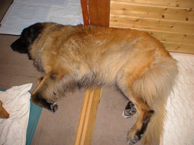 e0023643_23265864.jpg
