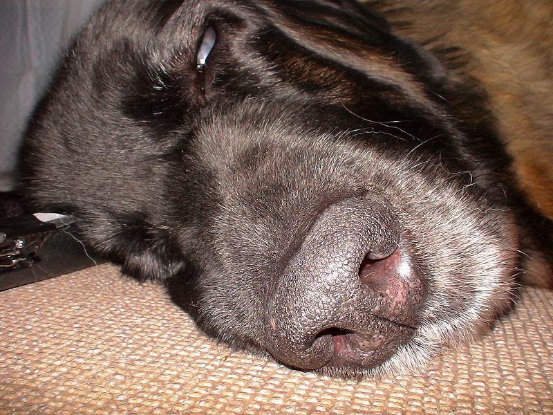 e0023643_2327188.jpg