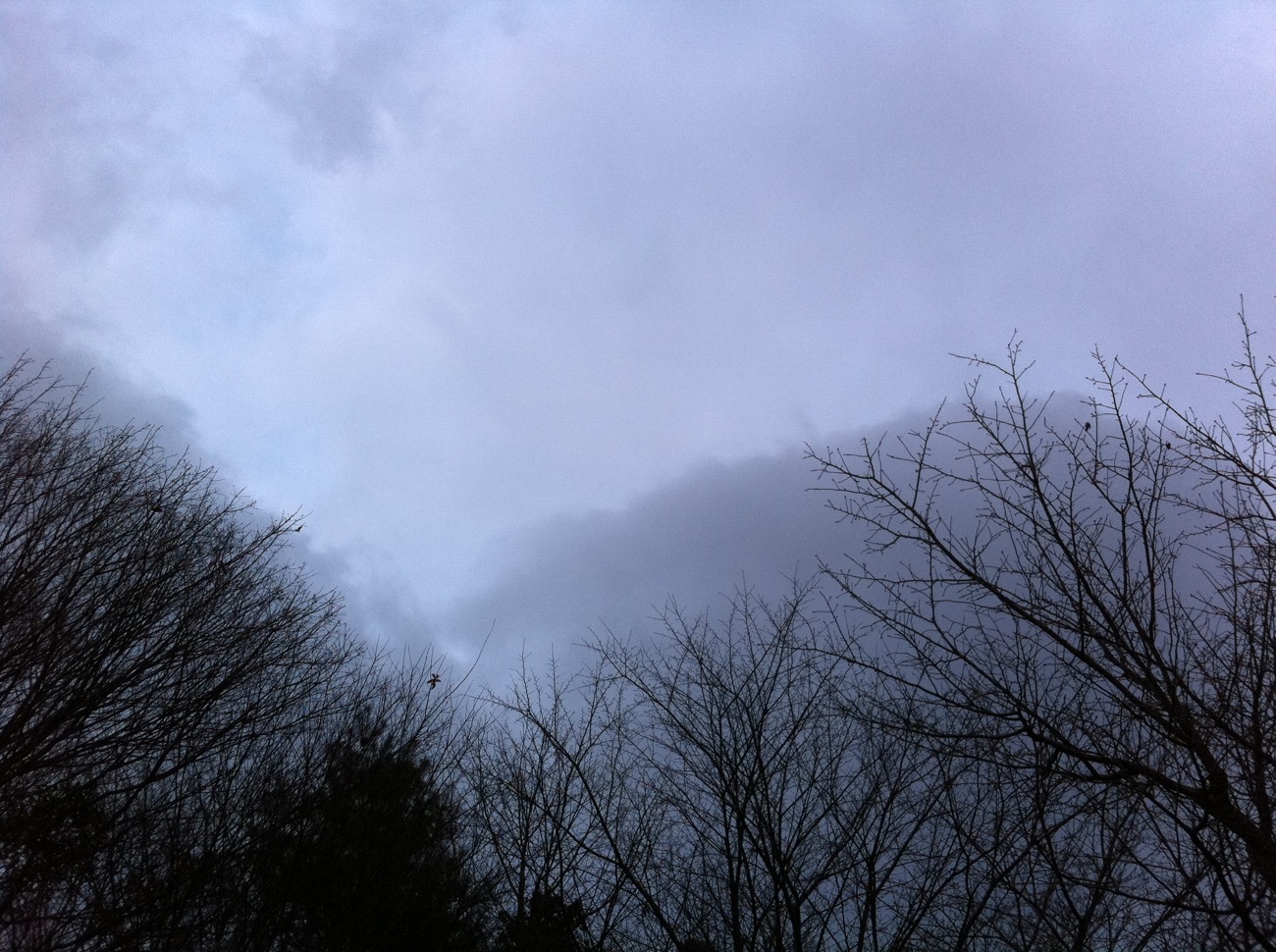 nuages neigeux　　雲のち雪でしょう。_a0188745_19321032.jpg