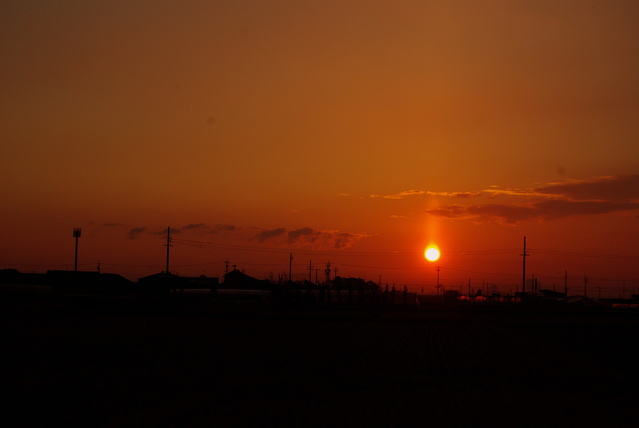 d0186245_1202757.jpg