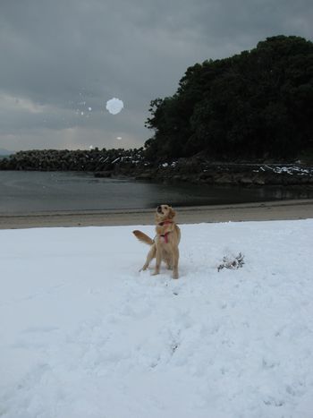 ２０１１年★冬休み～雪遊び編～_a0148349_23254814.jpg