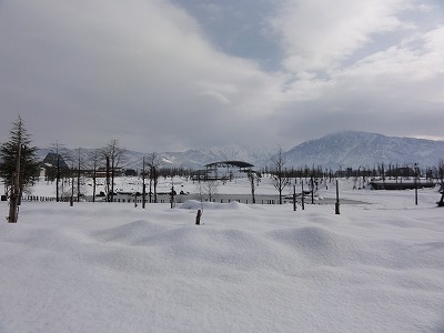 八色の森公園の新年_a0084753_17514067.jpg